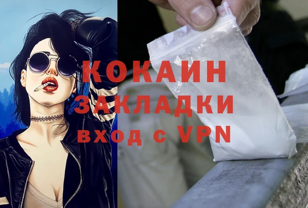 прущие грибы Бугульма