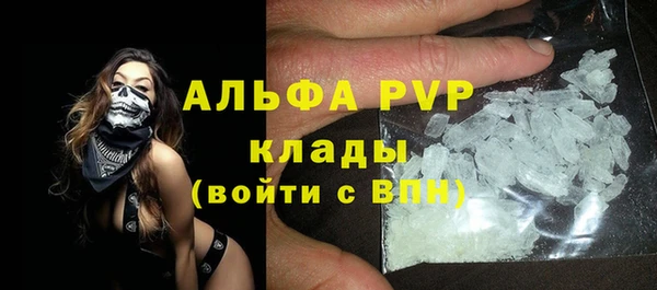 прущие грибы Бугульма